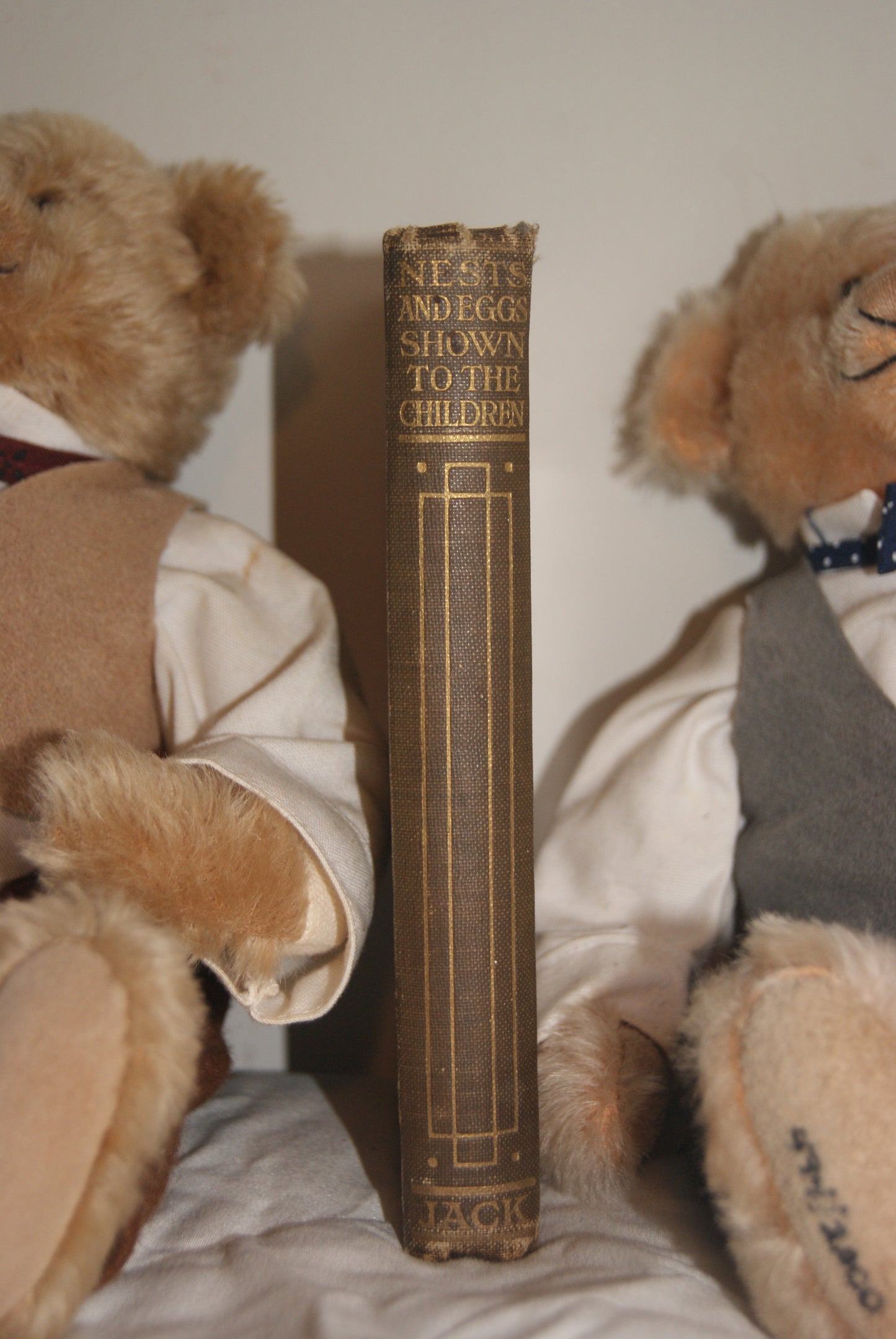 Nests and Eggs Shown to the Children — A.H. Blaikie | T.C. & E.C. Jack | 48 Colour Plates | Inscribed 1913 | Good Condition