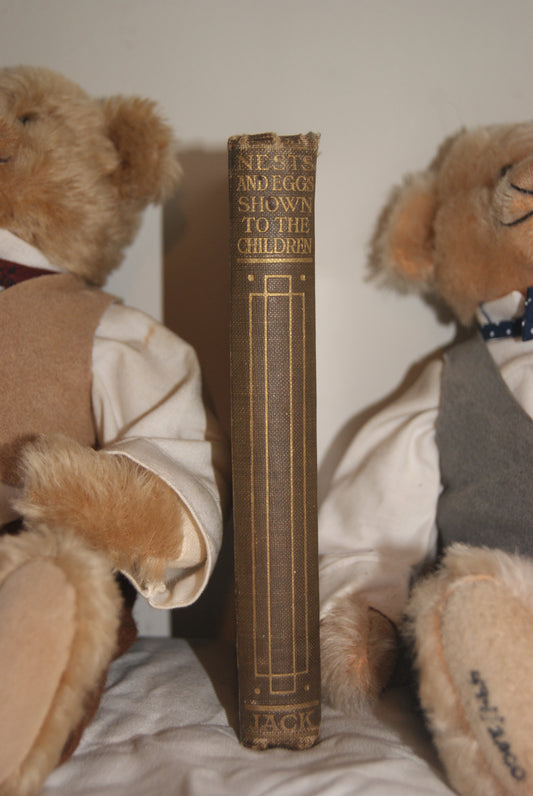 Nests and Eggs Shown to the Children — A.H. Blaikie | T.C. & E.C. Jack | 48 Colour Plates | Inscribed 1913 | Good Condition