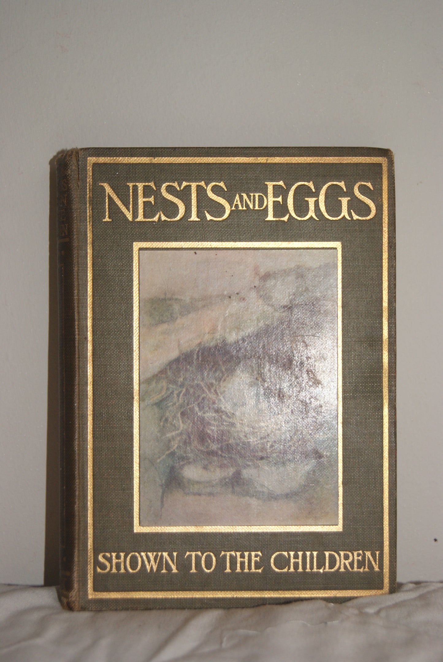 Nests and Eggs Shown to the Children — A.H. Blaikie | T.C. & E.C. Jack | 48 Colour Plates | Inscribed 1913 | Good Condition