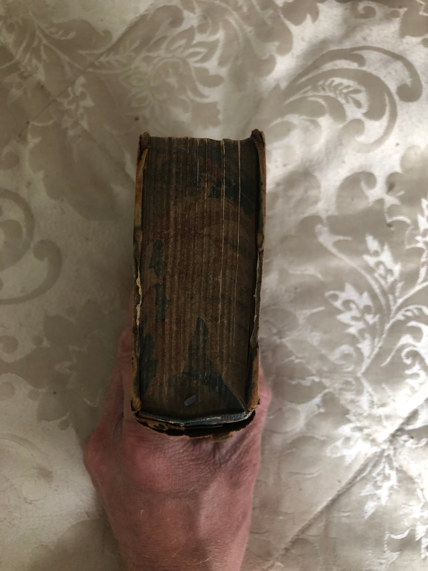 The Complete Sportsman c.1760 & Walton's Complete Angler 1826 — Two Books from the Gresley Collection | Signed Charles Gresley | Antiquarian Field Sports