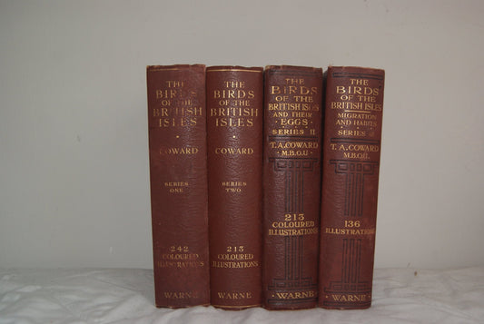 {{ product.title }} - Rare vintage {{ product.type | downcase }} from Novel Relic